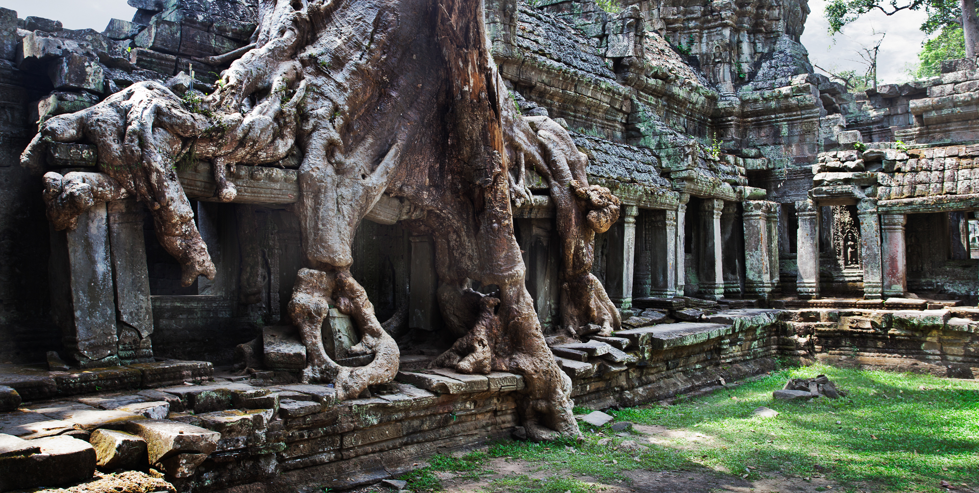 Roots of a silk cotton tree over the East Gopura, Preah Khan